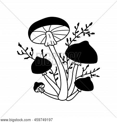 Vector Black And White Wild Forest Mushrooms On White Background. Autumn Botanical Design Element
