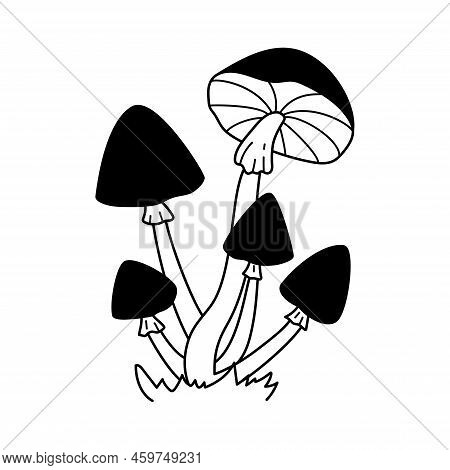Hand Drawn Vector Black And White Wild Forest Mushrooms On Grass. Autumn Botanical Design Element