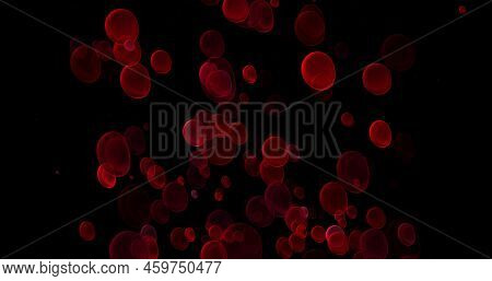 Blood Cells, Erythrocytes, Red Blood Cells, Microbes And Microorganisms, Medicine And Biology, Blood