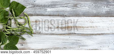 Overhead View Of Green Pole Beans Freshly Harvested On White Rustic Wood With Copy Space