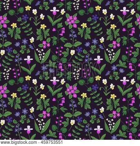 Seamless Floral Pattern With Purple, Blue And Yellow Flowers