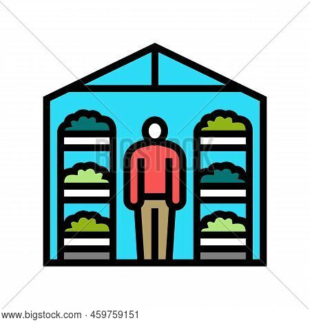 Greenhouse Hydroponics Water Irrigation Color Icon Vector. Greenhouse Hydroponics Water Irrigation S