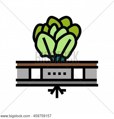 Vegetable Hydroponics Water Irrigation Color Icon Vector. Vegetable Hydroponics Water Irrigation Sig