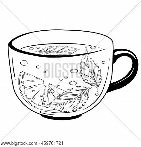 A Mug Of Herbal Tea. Vector Stock Illustration. Hot Drink With Lemon And Oregano Leaves. Isolated On