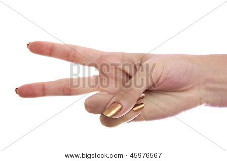 Hand Isolated On A White Background.