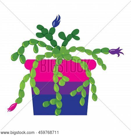 Cactus In A Pot Painted In The Colors Of The Bisexual Flag. Vector Illustration Isolated On White Ba