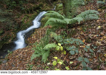 Beautiful Waterfall Landscape Image In Vibrant Autumn Woodland In Lake District
