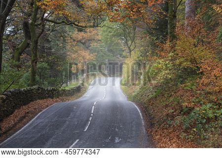 Beautiful Landscape Image Of Road Winding Through Vibrant Autumn Dodd Woods Forest In Lake District