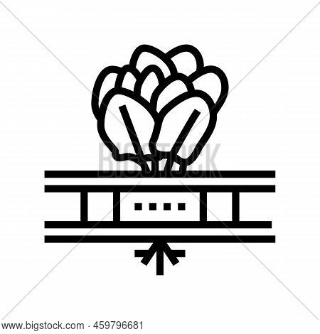 Vegetable Hydroponics Water Irrigation Line Icon Vector. Vegetable Hydroponics Water Irrigation Sign