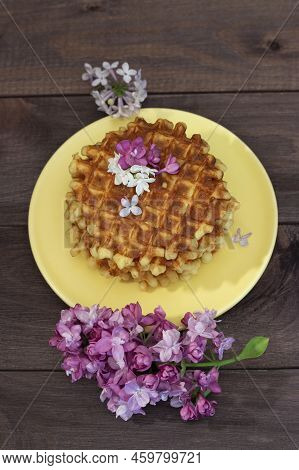 Top View Homemade Round Waffle, Spring Seringa Flower, Cute Vertical Postcard Photo