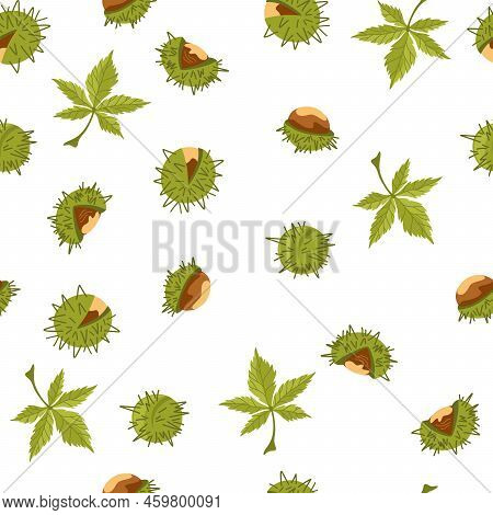 Chestnut Seamless Pattern. Chestnut Tree Leaves, Fruits, Seeds. Autumn. Horse Chestnut Background. P