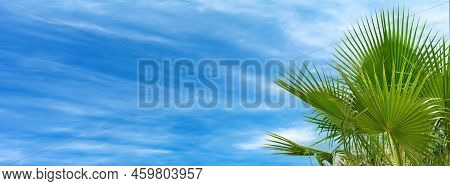 Palm Tree Leaves Against Blue Cloudy Sky Beautiful Tropical Background. Summer Background, Vacaton, 