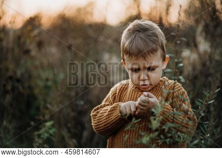 Portrait Of Cute Little Boy Wearing Knitted Sweater In Nautre, Autumn Concept.