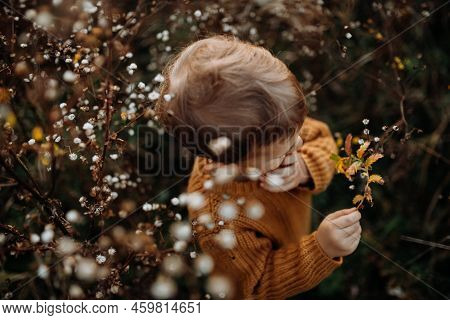 Top View Of Cute Little Boy Wearing Knitted Sweater, Explorying Autumn Nautre.