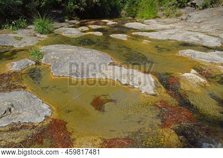 Stream In Torrelles De Foix Barcelona Catalonia Spain