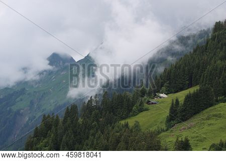Farm House, Pine Forest And Mountain Ridge Seen From Planalp, Brienz.