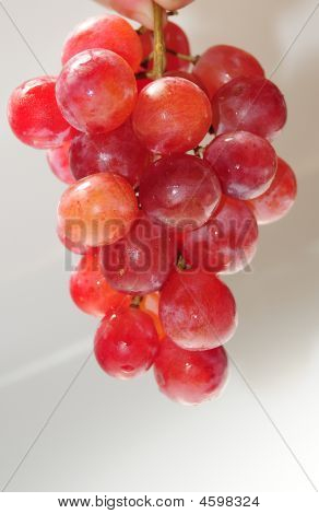 GRAPE
