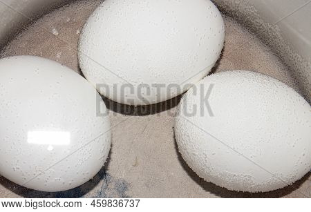 Boiled Chicken Eggs.hard-boiled Eggs.chicken Eggs In Cold Water.