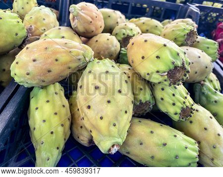 Texture, Background. Exotic, Tropical Plant, Thornless Cactus. Healthy Food, Vegan Food, Vitamin Fru