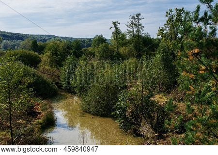 Long Swamp Wetland With Late Summer And Rich Greenery With Mixed Thickets Of Beech Forest Near Wild 