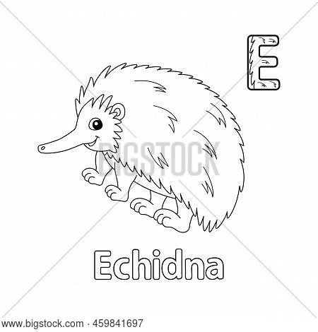 This Abc Vector Image Shows A Echidna Coloring Page. It Is Isolated On A White Background. Perfect F