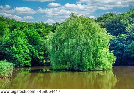 A View Of The Pasture In The Castle Pond In Grillenberg Near Sangerhausen With A Blue Sky In Summer