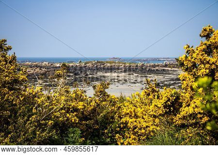 Chausey Island Coast And Cliffs Landscape In Brittany, France