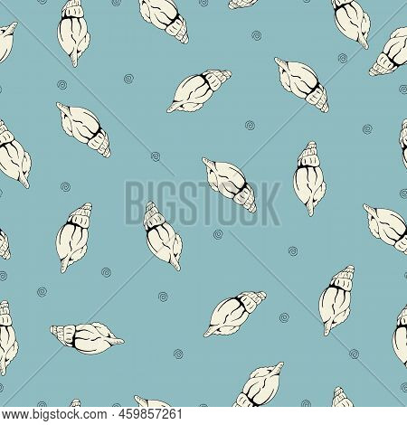 Summer Texture Sea Shell Pattern, Summer Mood. Costal Design For Your Perfect Holiday.