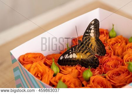 Lovely Tropical Butterflies In A Box Of Roses. Orange Roses And Butterflies. Unusual And Stylish Bou