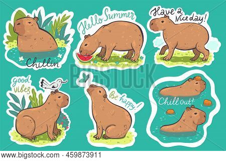 Set Of Stickers With Capybaras And Inscriptions. Vector Image.