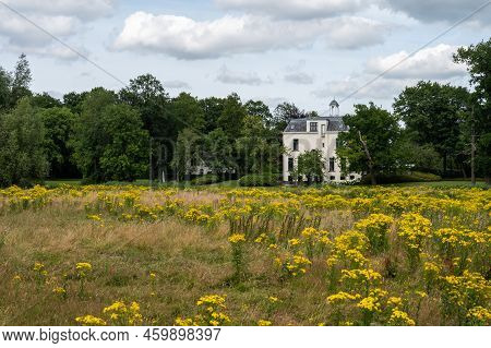 Colorful Heather Landscape Around Ulvenhout, The Netherlands
