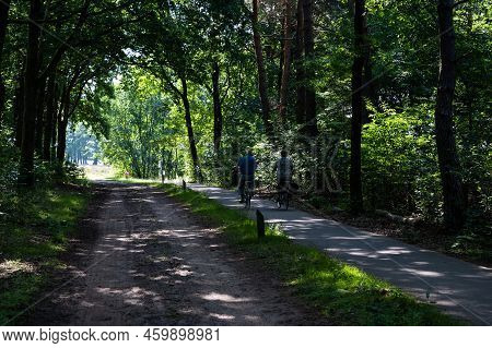 Kootwijk, Gelderland, The Netherlands, 07 12 2022 - Elderly Couple Driving Through The Dark Woods Of