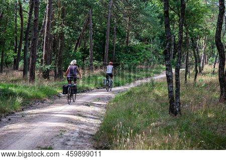 Harskamp, Gelderland, The Netherlands - 07 14 2022 - Cyclists Driving Through The Woods Of The Veluw