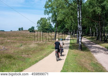 Veluwe, Gelderland, The Netherlands, 07 12 2022 - Concrete Cycling Path Through The Sand Of The Velu