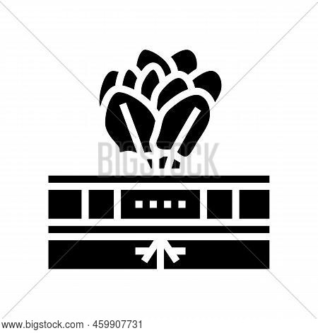 Vegetable Hydroponics Water Irrigation Glyph Icon Vector. Vegetable Hydroponics Water Irrigation Sig