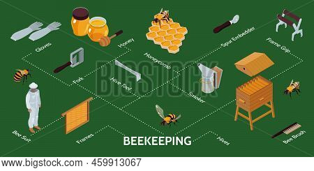 Beekeeping Isometric Infographics With Hives Equipment Farmer Wearing Protective Suit On Green Backg