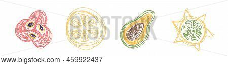 Aki, Lemon, Avocado And Carambola. Fruit Sketch Set. Hand Drawn Vector Illustration. Pen Or Marker D