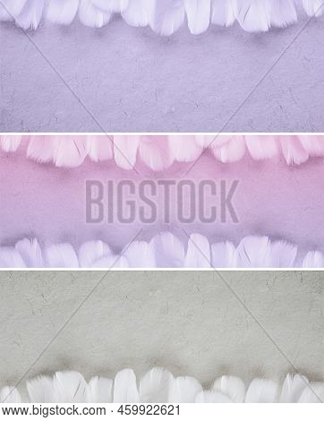 Fluffy Feather Edged Rustic Footer And Header Background Banner - Top, Bottom And Both Edges Lined W