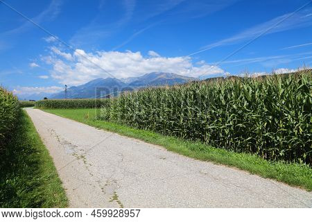 Drava River Bicycle Path (drauradweg) Near Spittal An Der Drau Town In Carinthia State Of Austria. C