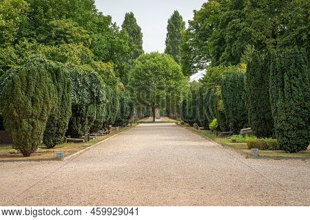 Amsterdam, The Netherlands, 16.08.2022, Cemetery And Arboretum De Nieuwe Ooster