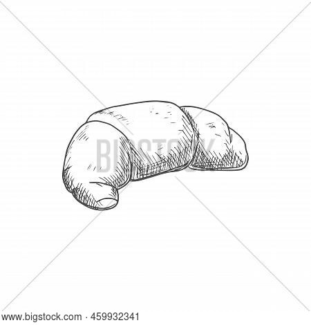 Croissant French Crescent Roll Isolated Sketch. Vector Bun On European Breakfast, Crescent-shaped Pa