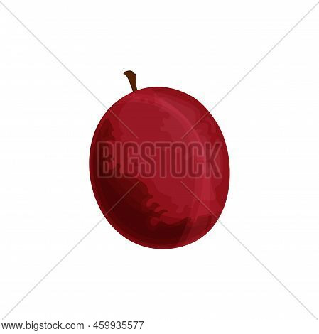 Passion Fruit Maracuya Isolated Exotic Food Flat Cartoon. Vector Round Pepo Berry Tropical Food Pass