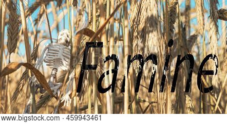 Inscription On The Picture Is 