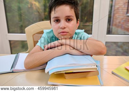 Confident Portrait Of Handsome Teenage Caucasian Boy, Elementary Age Smart School Child With Textboo