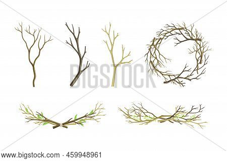 Bare Tree Branch Tied In Semi Circle And Wreath Vector Set