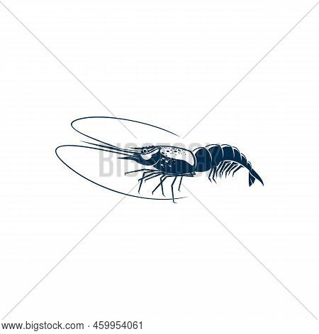 Shrimp Isolated Shellfish Crustaceans. Vector Prawn, Seafood, Underwater Marine Animal With Long Whi