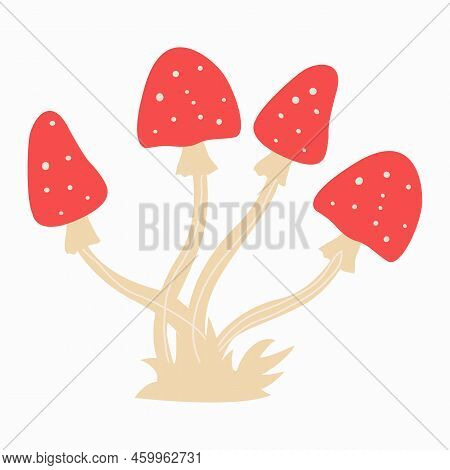 Red Poison Mushroom Isolated On White Background. Vector Illustration Set