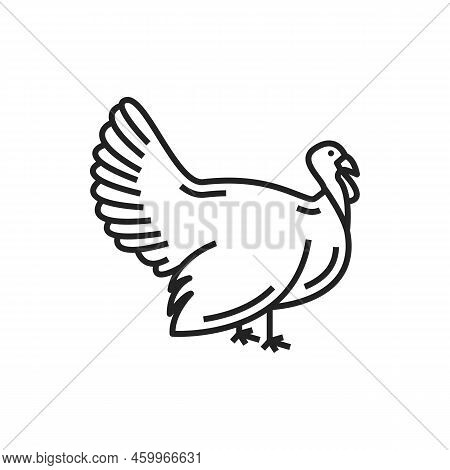 Grouse Bird Isolated Monochrome Linear Icon. Vector Turkey Poultry, Rural Fowl Animal