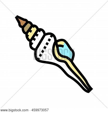 Spindle Sea Shell Beach Color Icon Vector. Spindle Sea Shell Beach Sign. Isolated Symbol Illustratio
