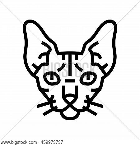 Sphynx Cat Cute Pet Line Icon Vector. Sphynx Cat Cute Pet Sign. Isolated Contour Symbol Black Illust